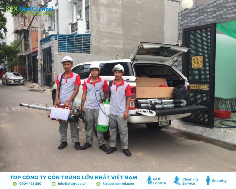 Vinpest chuyên cung cấp dịch vụ diệt mối tận gốc hcm