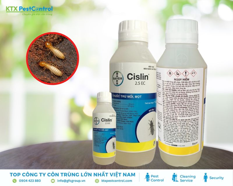 cách diệt mối mọt gây hại bằng thuốc Cislin 2.5 EC
