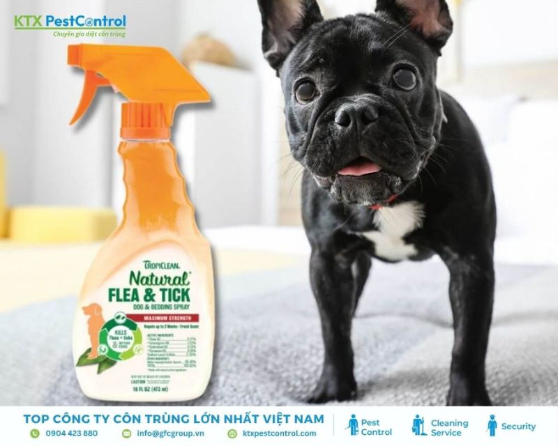 Thuốc diệt diệt bọ chét cho chó mèo TropiClean Yard Spray