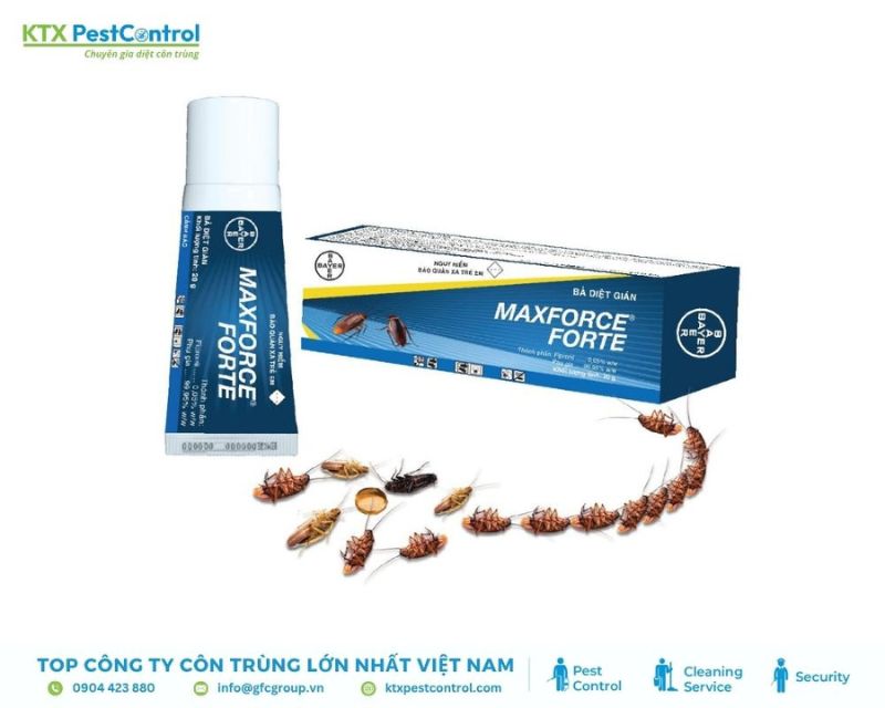 Thuốc diệt gián lây nhiễm tận gốc từ Đức Maxforce Forte Thuốc diệt gián lây nhiễm tận gốc từ Đức Maxforce Forte