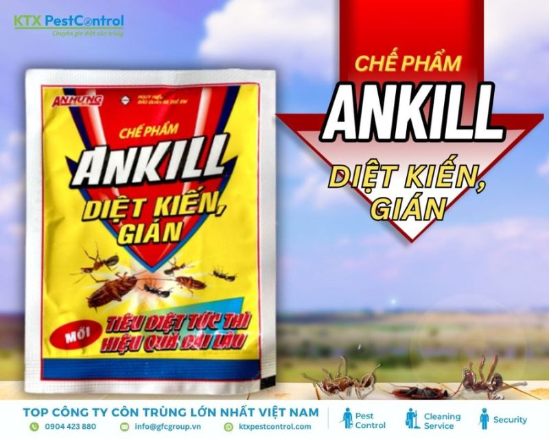Thuốc diệt kiến Ankill dạng bột dễ sử dụng
