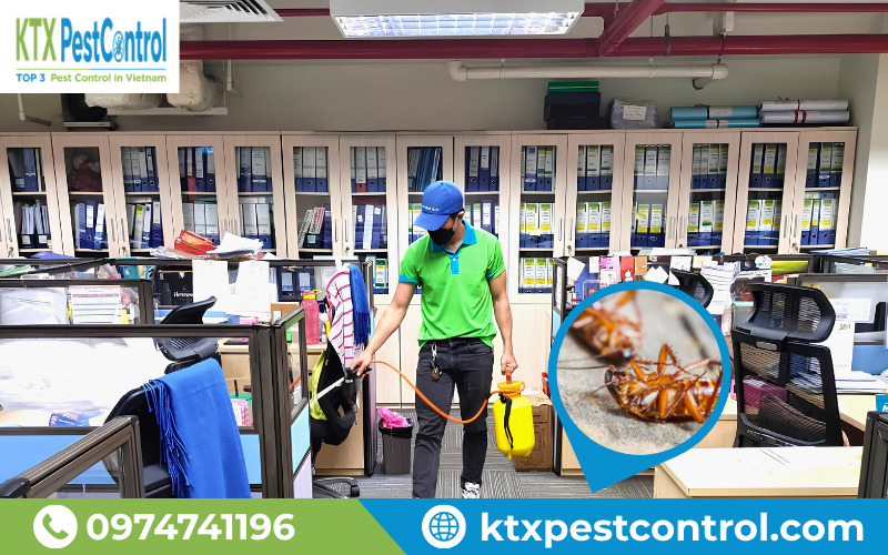 Giải pháp diệt gián cho văn phòng và tòa nhà