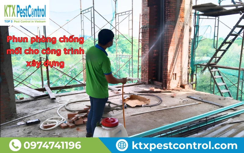 Phun phòng chống mối cho công trình xây dựng