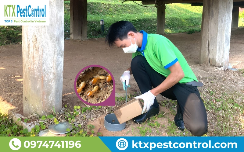 Kỹ thuật viên kiểm tra hệ thống phòng chống mối sau khi hoàn thành xử lý