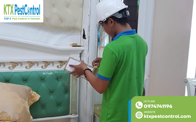 Diệt Côn Trùng KTX cung cấp dịch vụ diệt mối Bắc Giang chuyên nghiệp, an toàn, xử lý tận gốc