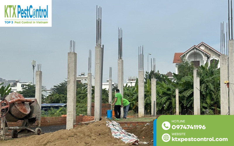 Hình ảnh thực tế công trình diệt mối Bắc Giang được KTX xử lý triệt để