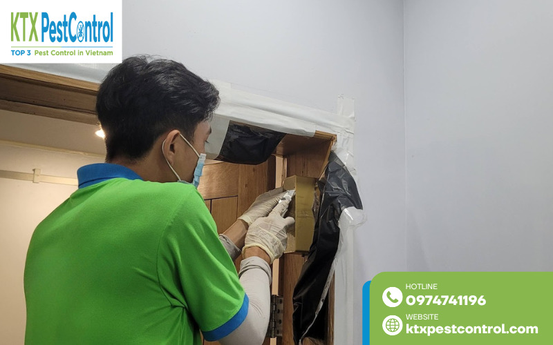 Việc duy trì dịch vụ diệt mối tại Bắc Giang định kỳ giúp kiểm soát nguy cơ tái phát