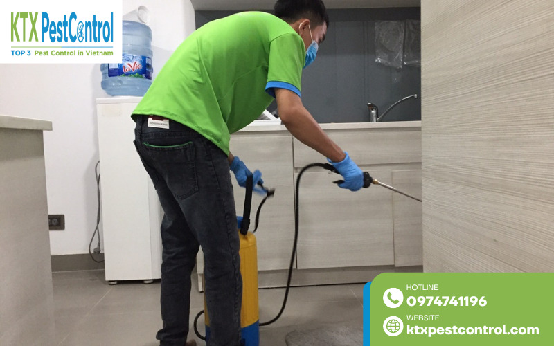 Phương pháp xử lý mối bằng thuốc lây truyền giúp tiêu diệt đàn mối hiệu quả, hạn chế tái phát