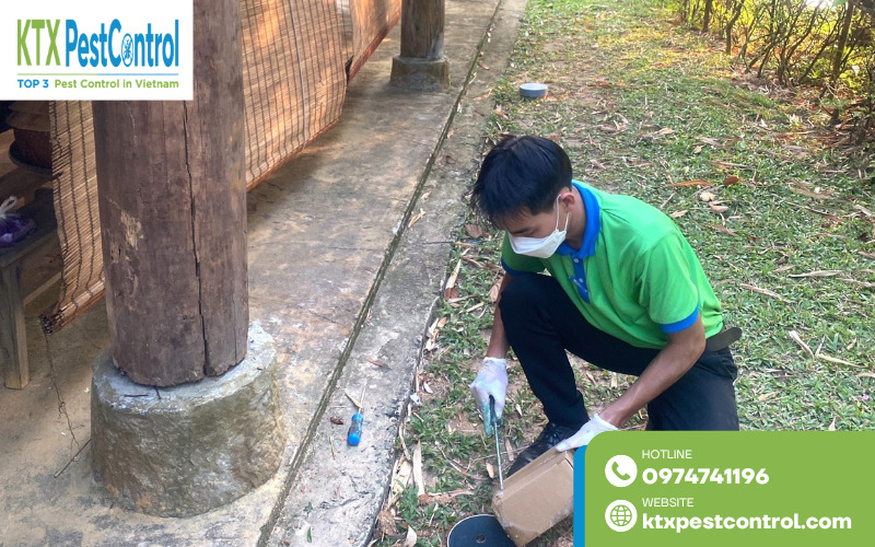 Đặt hộp nhử mối chuyên dụng giúp dẫn dụ, tiêu diệt tận gốc đàn mối trong công trình