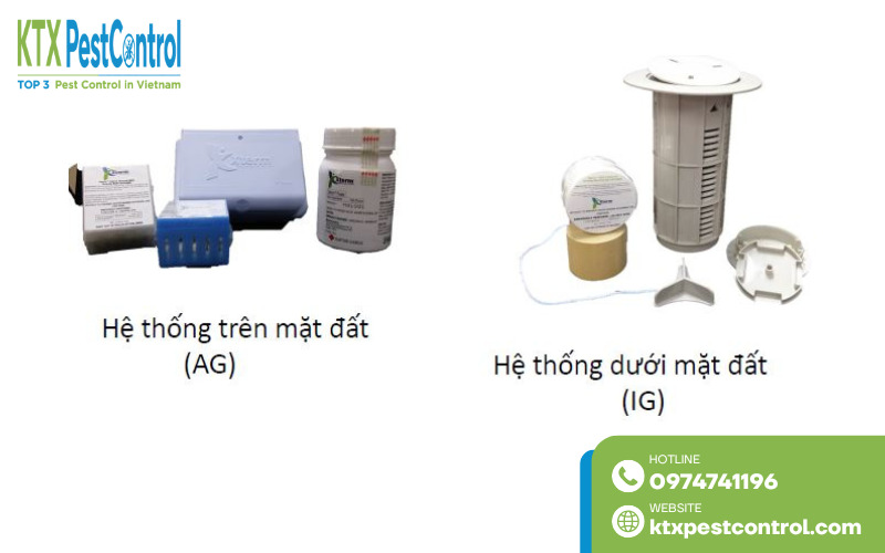 Hệ thống trạm bả Xterm™ giúp phát hiện sớm mối xuất hiện và bảo vệ công trình hiệu quả