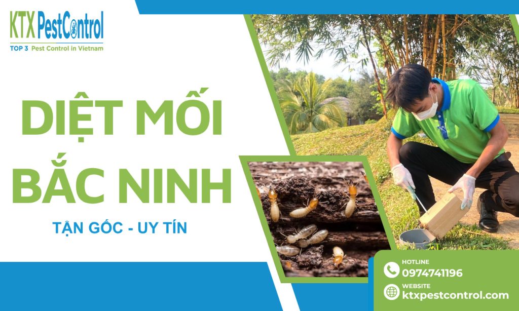 Dịch Vụ Diệt Mối Bắc Ninh Tận Gốc, Uy Tín