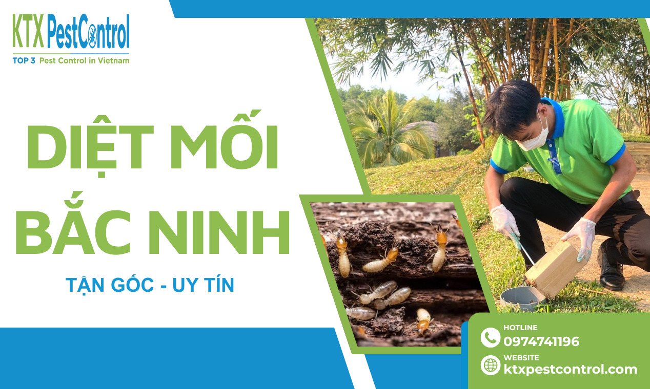 Dịch Vụ Diệt Mối Bắc Ninh Tận Gốc, Uy Tín
