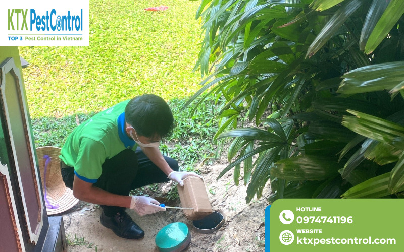 Hệ thống hộp nhử mối kết hợp thuốc lây truyền giúp tiêu diệt đàn mối tận gốc