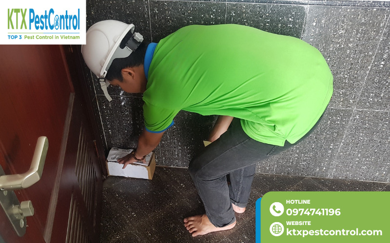 Hình ảnh kỹ thuật viên Diệt Côn Trùng KTX xử lý mối tại công trình thực tế Bắc Ninh