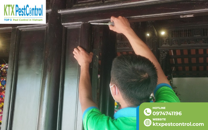 Thi công diệt mối tận gốc Bắc Ninh tại nhà ở, công trình với phương pháp xử lý phù hợp, hiệu quả