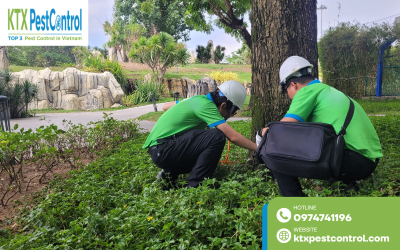 Các công trình diệt mối Thái Bình được xử lý bài bản, giúp khách hàng yên tâm sử dụng dịch vụ
