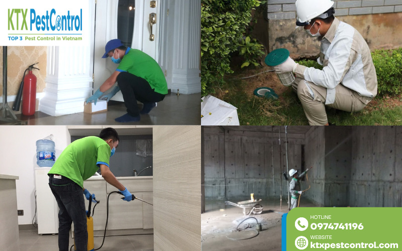 Kỹ thuật viên khảo sát hiện trạng, xác định mức độ xâm nhập để đưa ra phương án phù hợp 