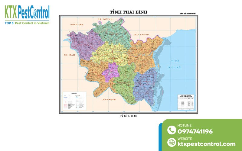 Dịch vụ diệt mối Thái Bình phục vụ đa dạng khu vực, đáp ứng nhu cầu xử lý mối trên toàn địa bàn