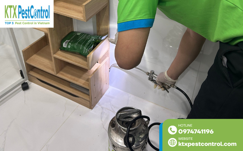 Diệt Côn Trùng KTX diệt mối tại Thái Bình hiệu quả, quy trình minh bạch, bảo hành rõ ràng 