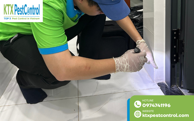 Quy trình diệt mối tại Thái Bình được triển khai chuyên nghiệp, đảm bảo an toàn và hiệu quả cao