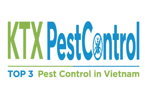 Diệt Côn Trùng KTX – TOP 3 Công Ty Diệt Côn Trùng Hàng Đầu