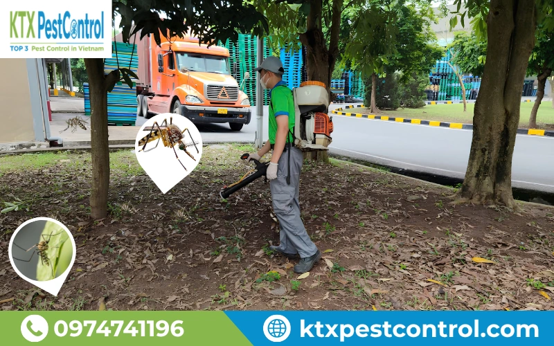 Diệt Côn Trùng KTX cung cấp dịch vụ diệt mối chuyên nghiệp, hiệu quả cao