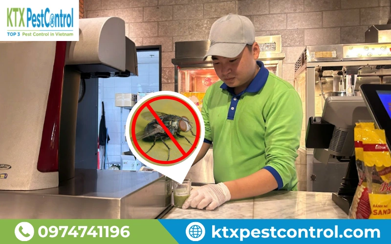 Công ty Diệt Côn Trùng KTX cung cấp dịch vụ diệt ruồi hiệu quả cao, diệt tận gốc