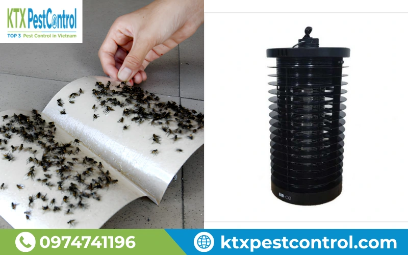 Bẫy ruồi và đèn bắt côn trùng giúp kiểm soát ruồi hiệu quả không dùng hóa chất.