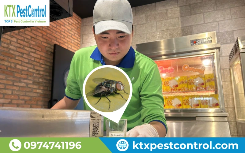Phun diệt ruồi cơ sở thực phẩm giúp duy trì tiêu chuẩn vệ sinh và kiểm soát nguồn phát sinh.