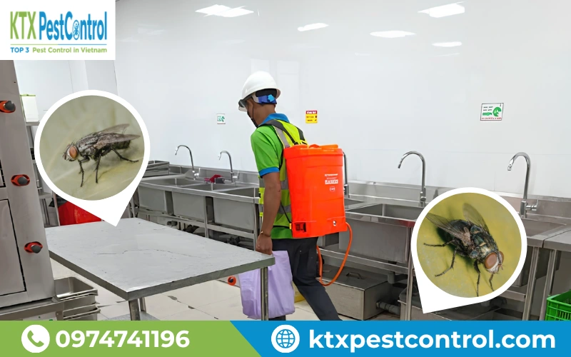 Phun xử lý ruồi khu bếp giúp duy trì vệ sinh an toàn thực phẩm.