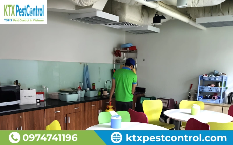 Phun xử lý ruồi tại nhà giúp hạn chế ruồi quay trở lại sau xử lý.
