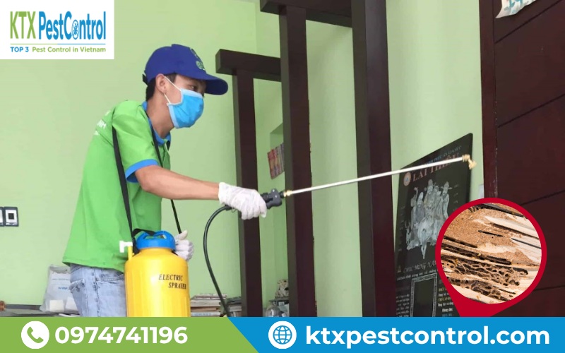 Xử lý mối bằng thuốc lây truyền cho ổ mối đã được xác định, mang lại hiệu quả nhanh chóng