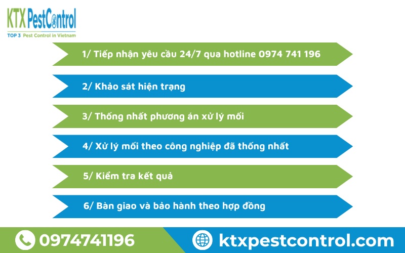 Quy trình diệt mối tại Hà Đông