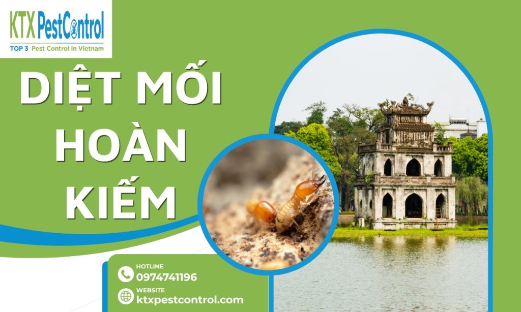 Dịch Vụ Diệt Mối Hoàn Kiếm Tận Gốc, Khảo Sát Miễn Phí 