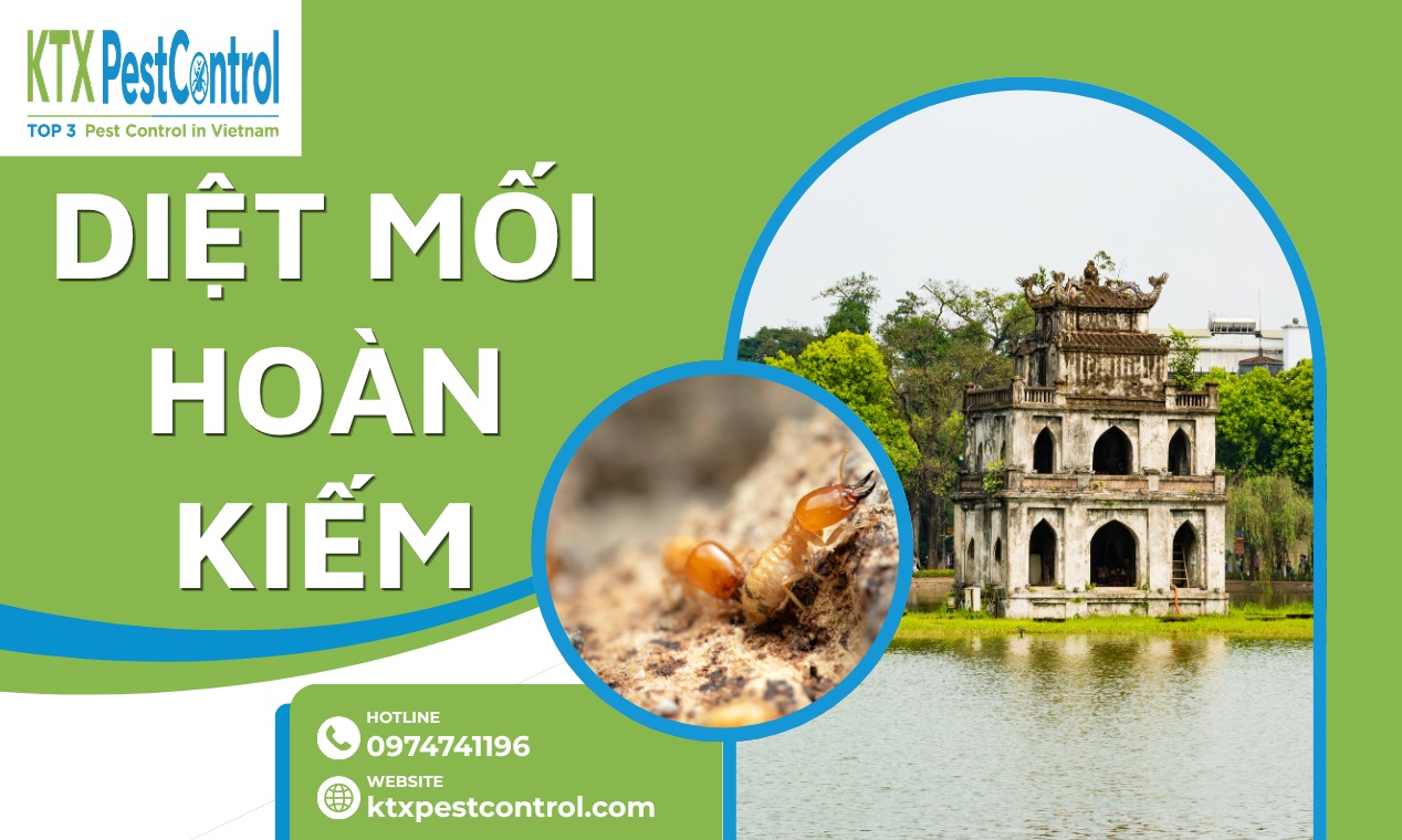 Dịch Vụ Diệt Mối Hoàn Kiếm Tận Gốc, Khảo Sát Miễn Phí 