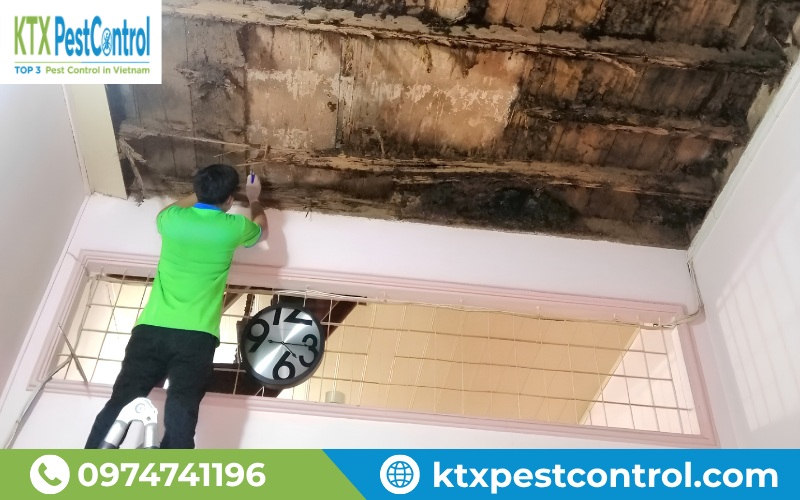 Diệt Côn Trùng KTX mang đến giải pháp phù hợp với từng công trình, giúp kiểm soát mối hiệu quả