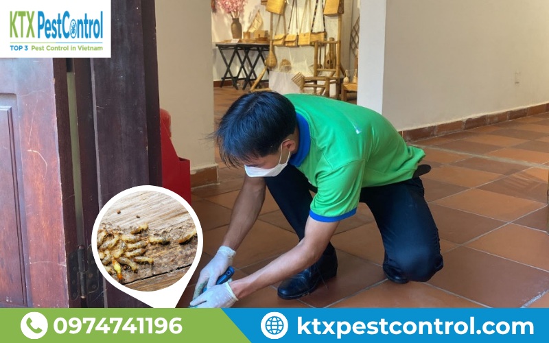 Diệt Côn Trùng cung cấp dịch vụ diệt mối Long Biên tận gốc, uy tín