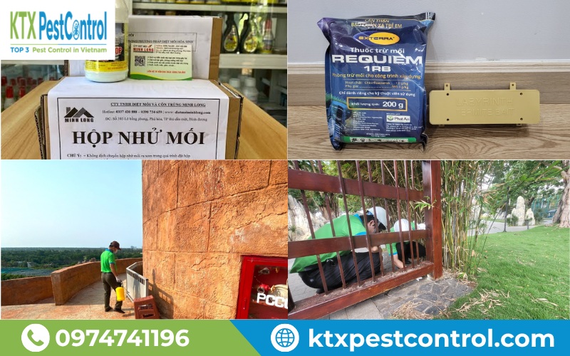 KTX mang đến giải pháp diệt mối phù hợp với từng công trình tại Long Biên