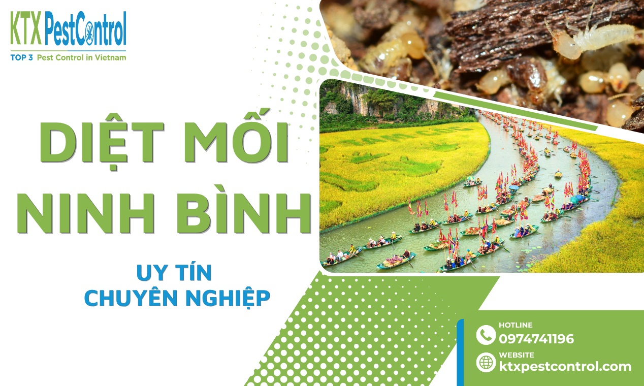 Diệt mối Ninh Bình cho nhà ở, khách sạn, kho xưởng, nhà máy; nhiều phương pháp, bảo hành 1–5 năm. Gọi 0974 741 196.