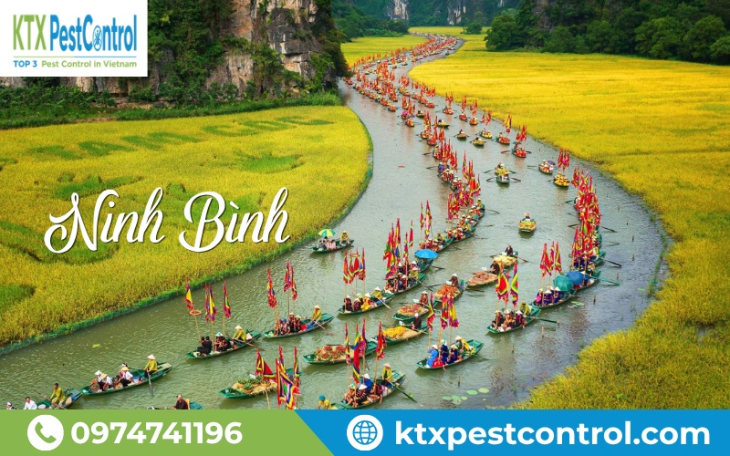 Các công trình tại khu du lịch Tam Cốc, Ninh Bình cũng có nguy cơ bị mối xâm nhập nếu không được kiểm tra và phòng chống định kỳ.