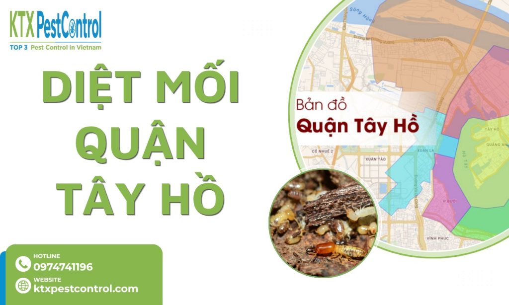 Dịch Vụ Diệt Mối Tại Quận Tây Hồ Tận Gốc An Toàn 