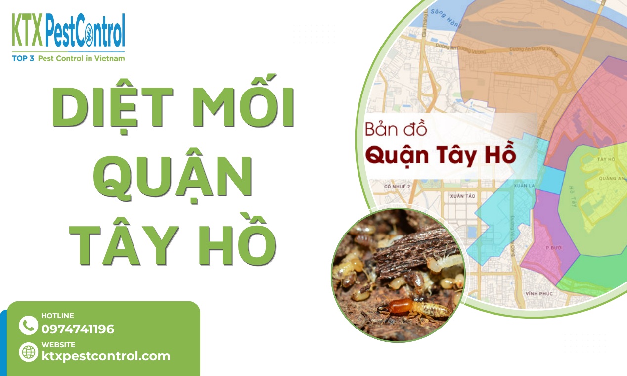 Dịch Vụ Diệt Mối Tại Quận Tây Hồ Tận Gốc An Toàn 