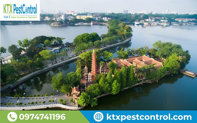 Thực trạng mối xông tại khu vực quận Tây Hồ