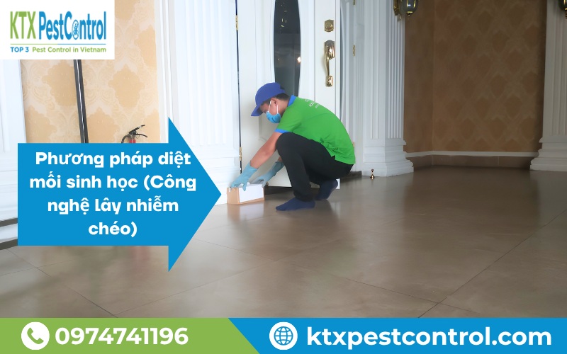 Phương pháp diệt mối sinh học (Công nghệ lây nhiễm chéo)