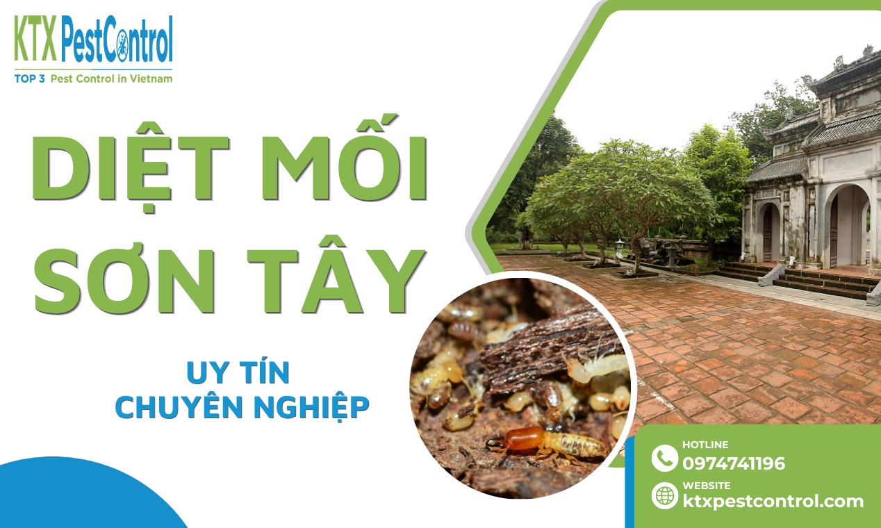 Dịch Vụ Diệt Mối Sơn Tây Hà Nội Uy Tín, Tận Gốc, Giá Tốt 