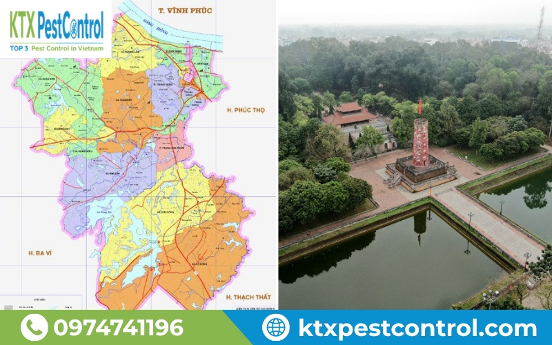 Diệt Côn Trùng KTX cung cấp dịch vụ diệt mối Sơn Tây tận gốc, chuyên nghiệp