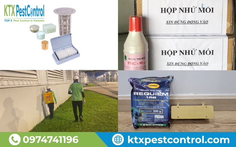 Các gói dịch vụ diệt mối Sơn Tây của Diệt Côn Trùng KTX