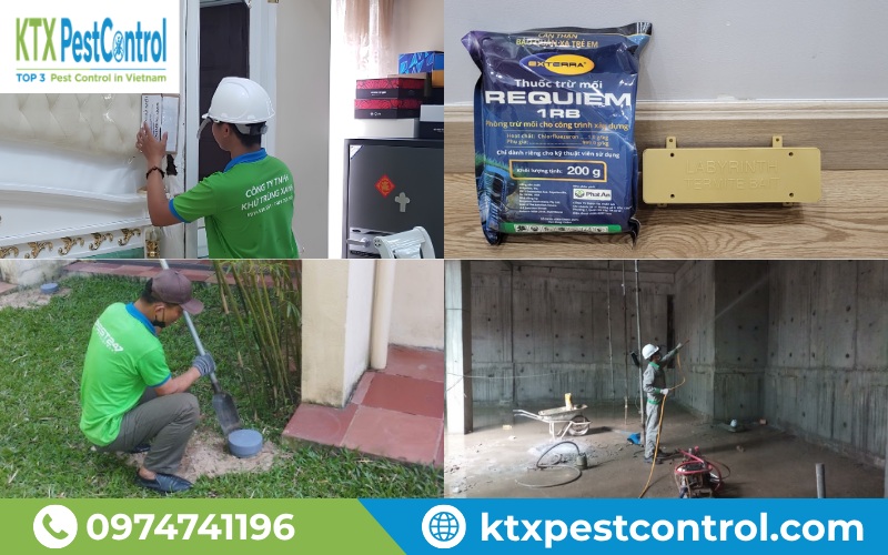 KTX cung cấp đa dạng gói diệt mối phù hợp cho từng khách hàng