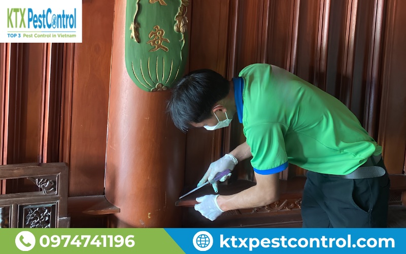 Kỹ thuật viên KTX tiến hành khảo sát mối tại Đông Anh sau khi nhận được thông tin từ khách hàng