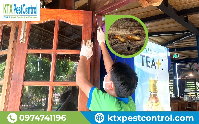 KTX giúp khách hàng tại Đông Anh xử lý mối đúng phương án, kiểm soát chi phí rõ ràng và yên tâm hơn nhờ chính sách bảo hành sau thi công.